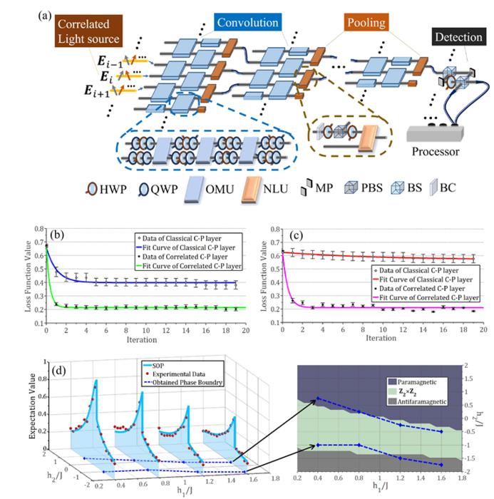 Figure | The structure of the correlated optical convolutional neural network and its performance.