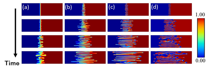 Numerical simulation results (time evolution of concentration field (c))