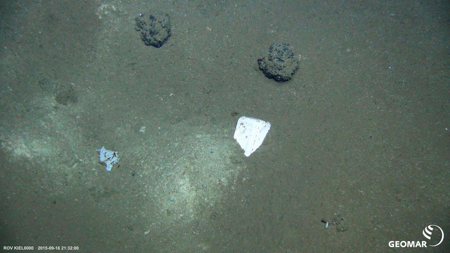 Curd Box on the Abyssal Seabed