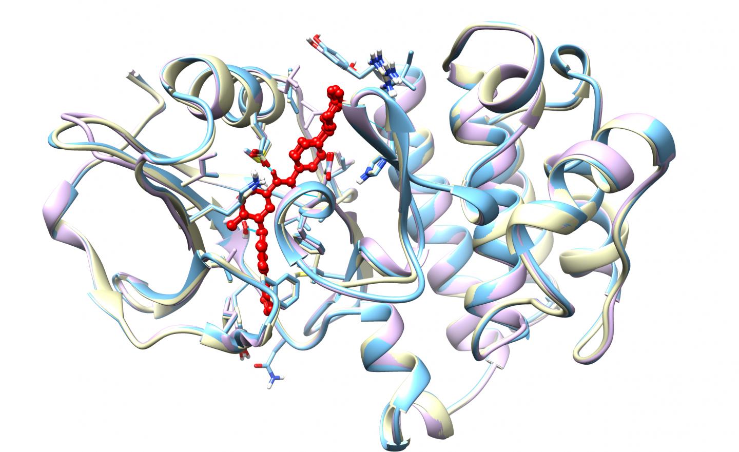 Masitinib (Colored in Red) Binds and Inhibits the Activity