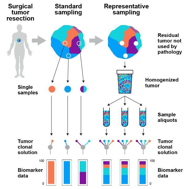 The Representative Sequencing Method