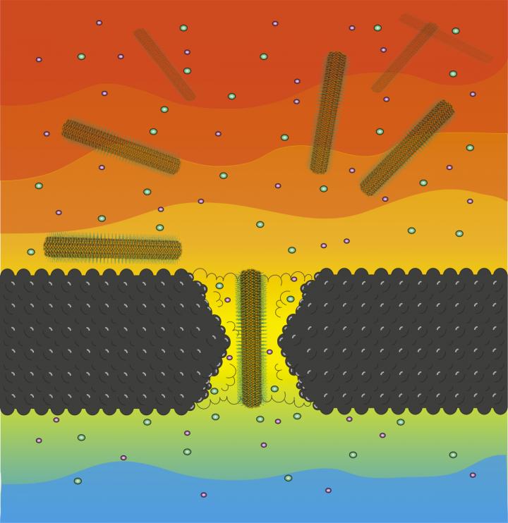 Nanopore Translocation Illustration