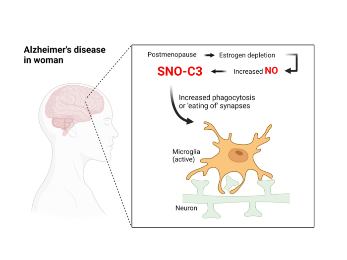 SNO Graphic