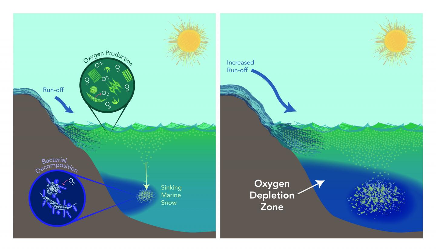 In Ancient Shale, Thallium Tells a Tale that Foreshadows Oceanic Oxygen Depletion (2 of 3)