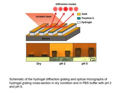 Diagram Depicting New Type of 'Diffraction-Based' Sensor