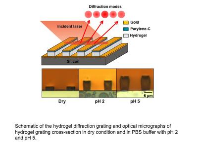 Diagram Depicting New Type of 'Diffraction-Based' Sensor
