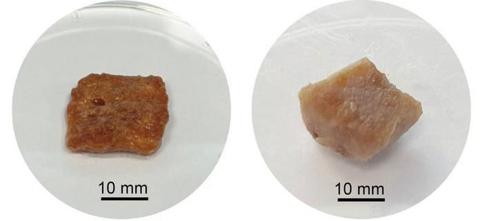 Lab-grown pork gets support from sorghum grain