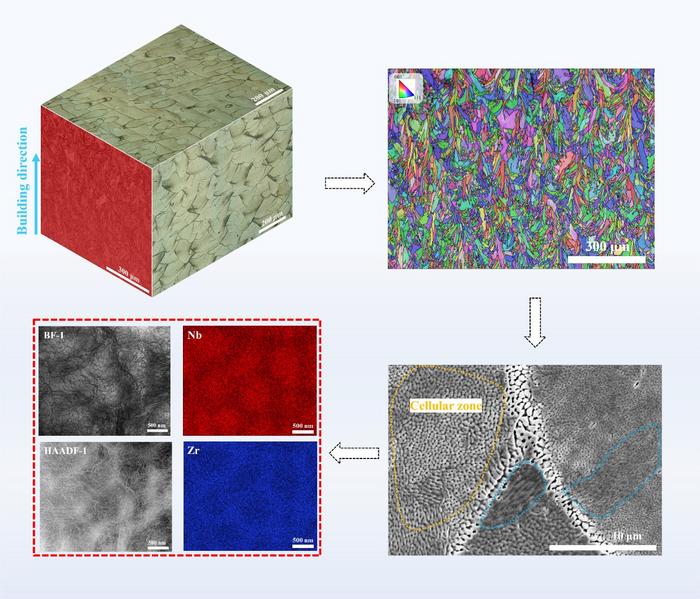 Microstructures of the NTZO alloy fabricated by L-PBF