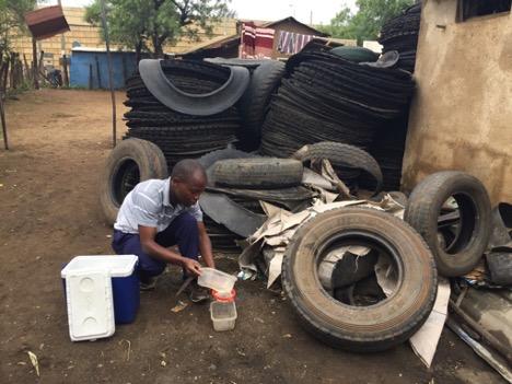 Effective interventions may prevent disease transmission in changing climate (2)