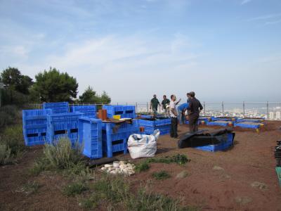 First Green Roofs Ecology research Center in Israel