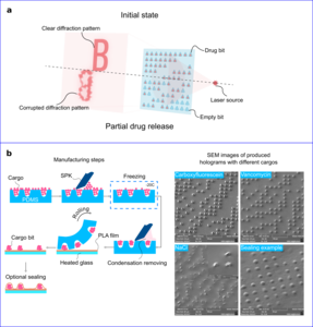 The main principles of binary hologram with drug-elution capabilities.