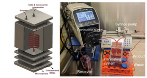 Modular 3D printed microfluidic system