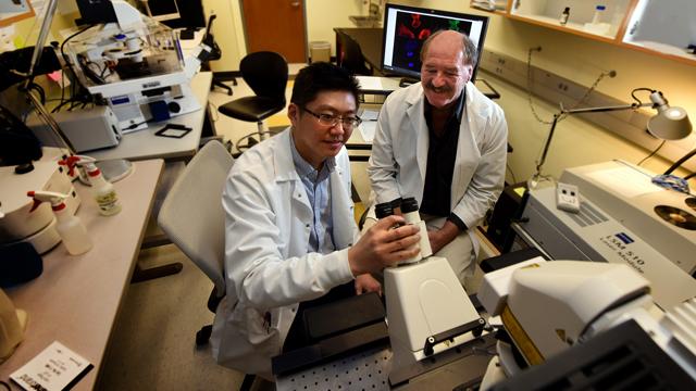 Drs. Yong Teng and John Cowell, Medical College of Georgia at Augusta University