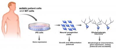 Modeling Autism in a Dish (1 of 2)