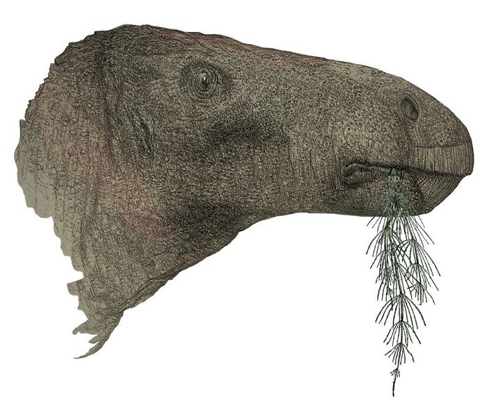 An artist’s impression of the dinosaur. Image credit: John Sibbick