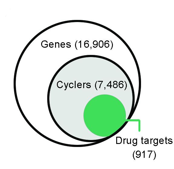 A Timely Database for Human Genes Across the Body (1 of 2)