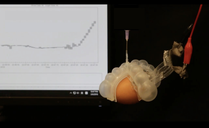 Soft stretchable thermometer for soft robotics