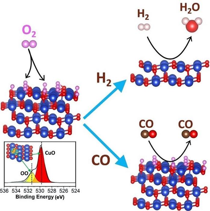 Tuning the Catalytic Behavior of Metal Oxides