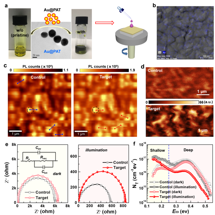 Figure 1| Preparation and characterization of Au@PAT-modified perovskite films and devices