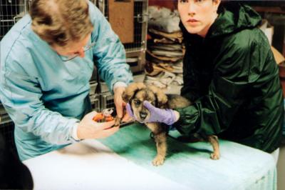 Emergency Care for Pets