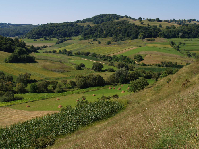 landscape mosaic of natural habitats