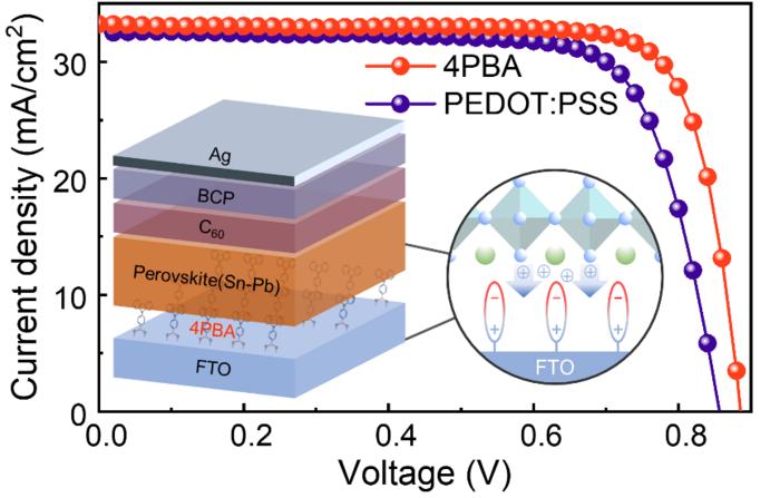 Schematic diagram of device efficiency and hole-selective contact of Tin-Lead perovskite solar cells