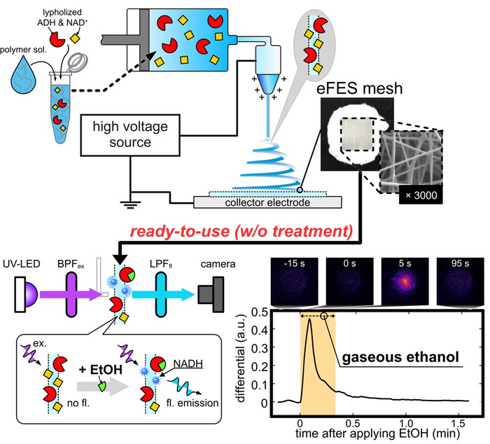 Enzyme and coenzyme embedded electrospinning