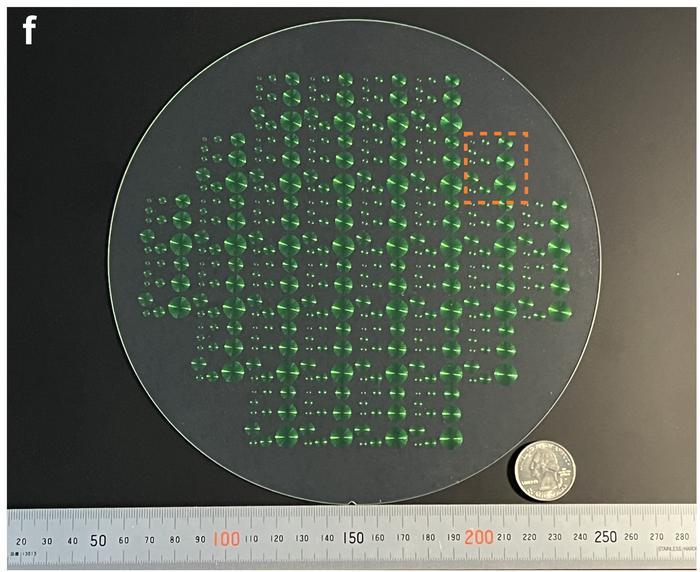 Developed wafer