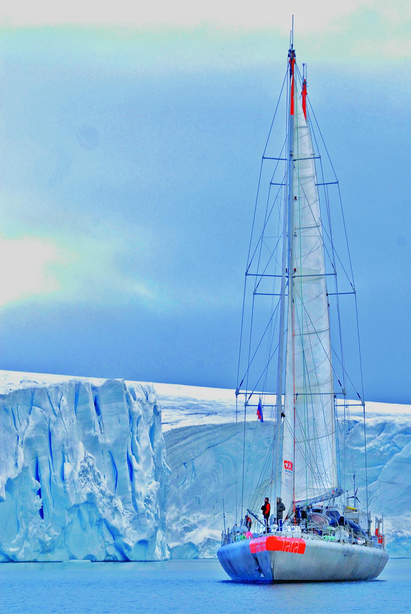 Exploring the Oceans' Viral Diversity