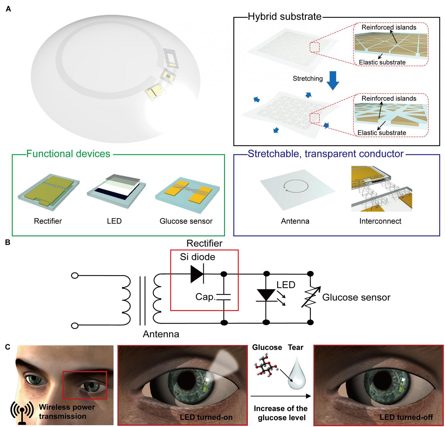 'Smart' Contact Lenses Monitor Glucose Levels EurekAlert!