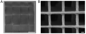 Electron micrograph of scaffold