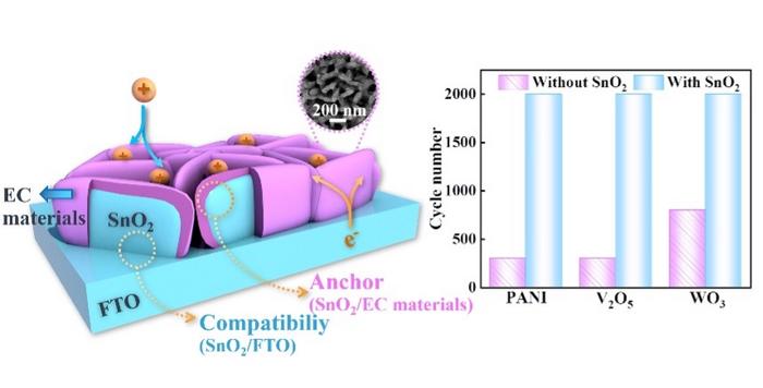 Diagram depicting heterostructured electrochromic film and improvement in cycling stability using SnO2 as scaffold