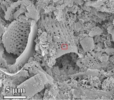 Silicon Nanostructure