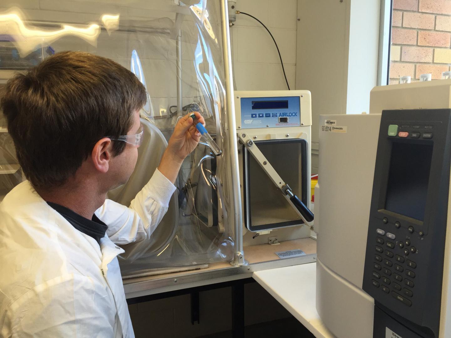 New Methane Organisms Discovered