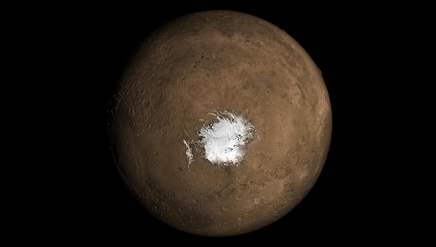 The Martian South Polar Ice Cap