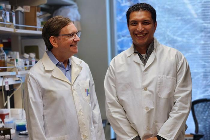 Gene therapy researchers Jeffrey Chamberlain and Hichem Tasfaout