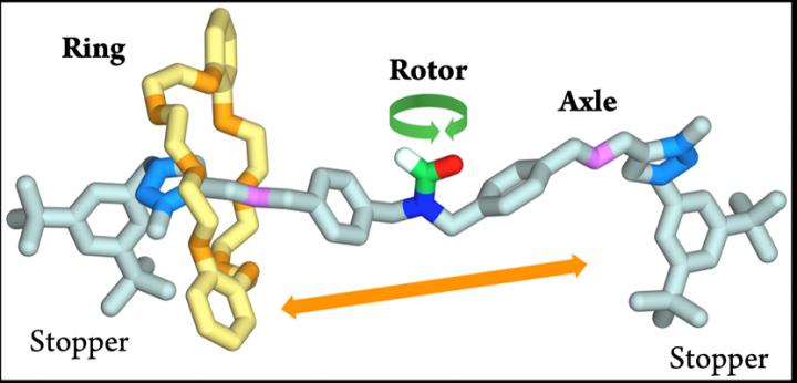 Location of gear and stopper