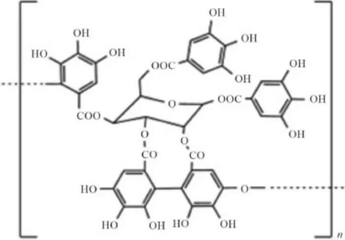 Chestnut Tannin: A Sustainable Bioresource for Diverse Applications