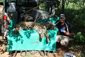 Declan Morris with a leopard