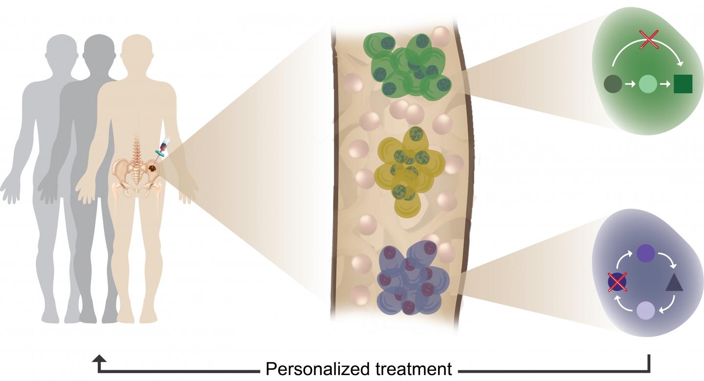 Tumor Heterogeneity