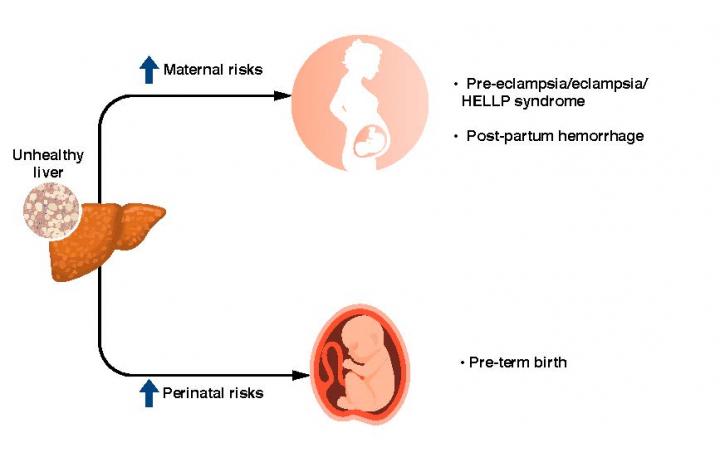 NAFLD In Pregnancy Increases Risks for Mother and Baby