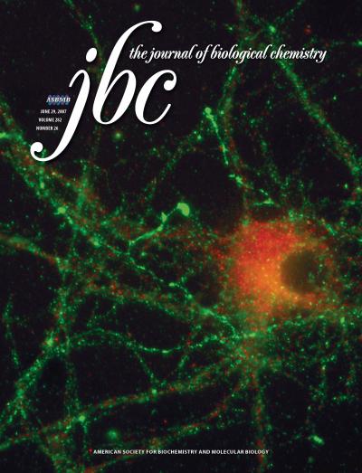 Journal of Biological Chemistry Cover