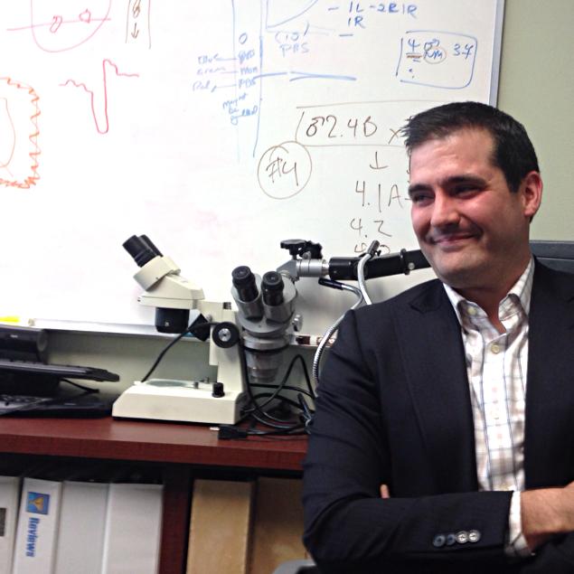 The Corresponding Author of this Work