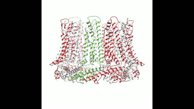 Calcium Homeostasis Modulator 2