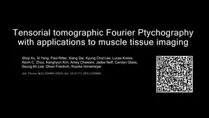 Tensorial tomographic Fourier Ptychography with applications to muscle tissue imaging: An overview.