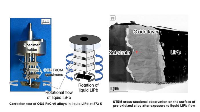 Corrosion test and STEM cross-sectional observation