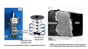 Corrosion test and STEM cross-sectional observation