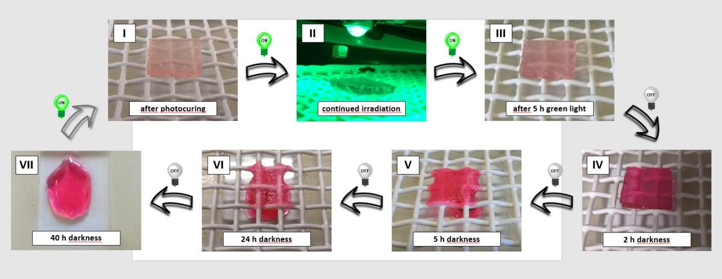 Macroscopic Demonstration of Light-Stabilized Dynamic Behavior