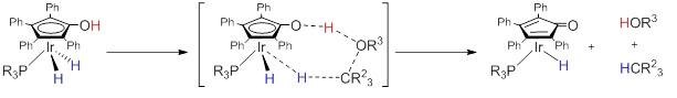 Mechanism of Selective Hydrogenation