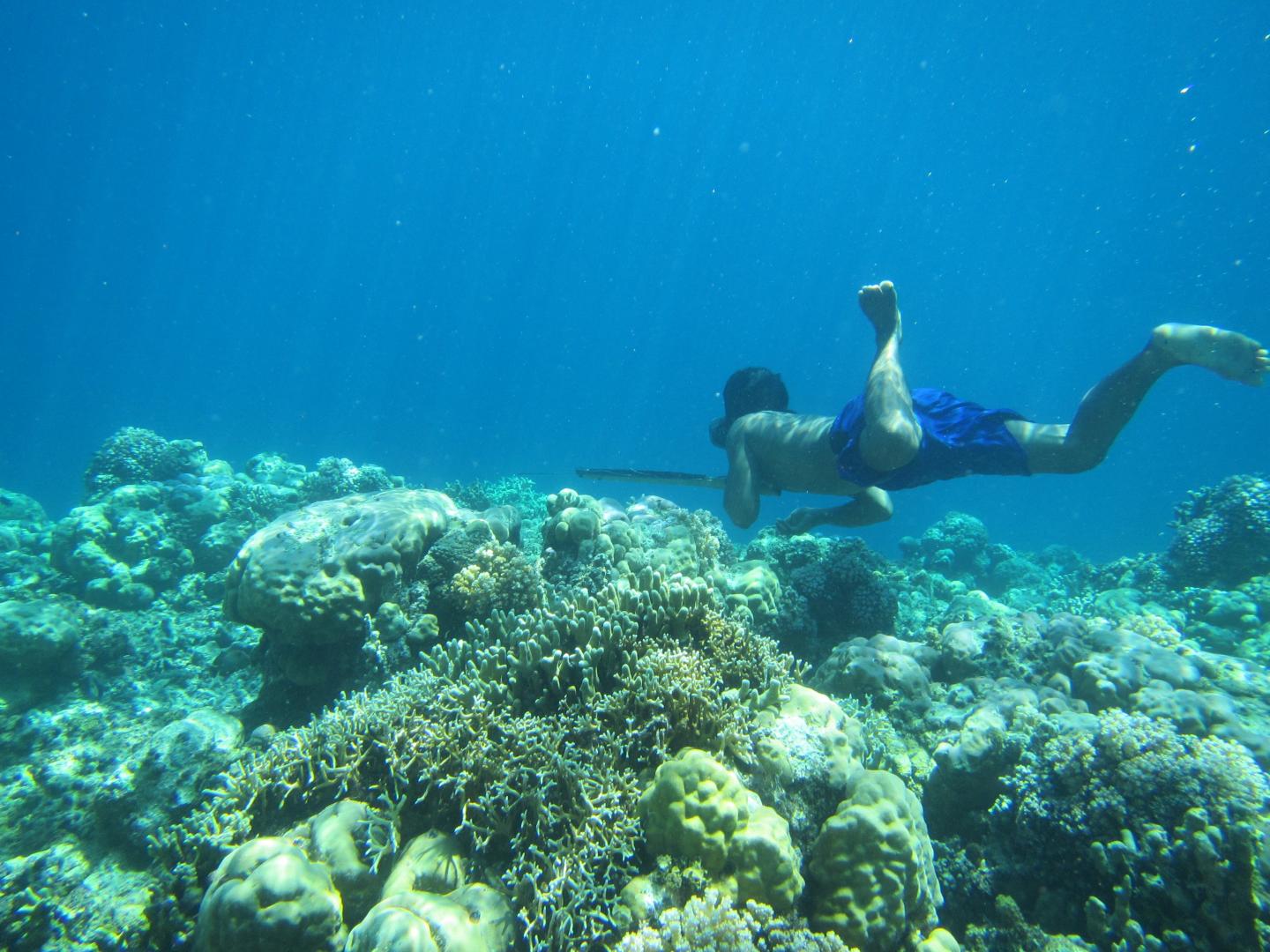 Bajau Diver Underwater